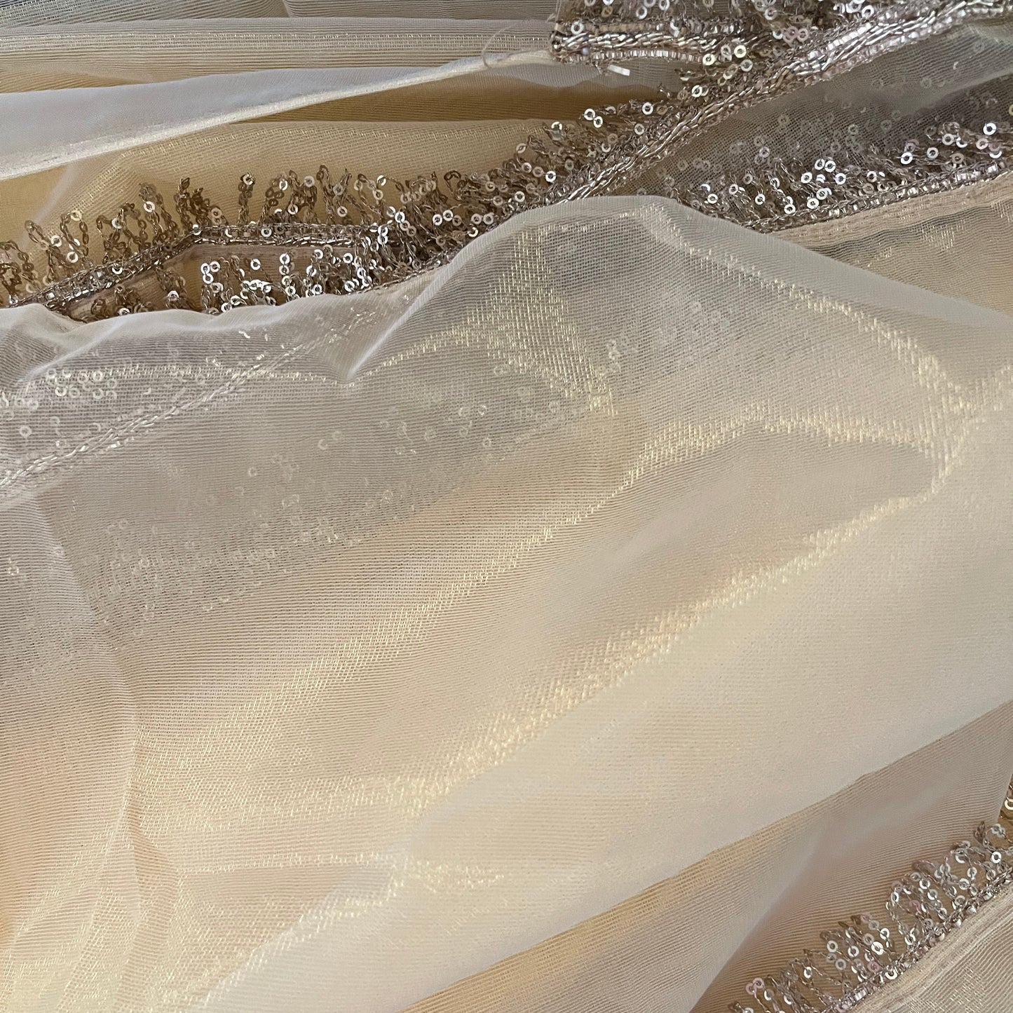 Golden Glow Net Saree