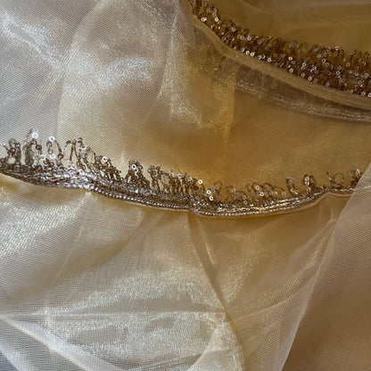 Golden Glow Net Saree