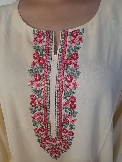Long Embroidery Kurti Ain Wear