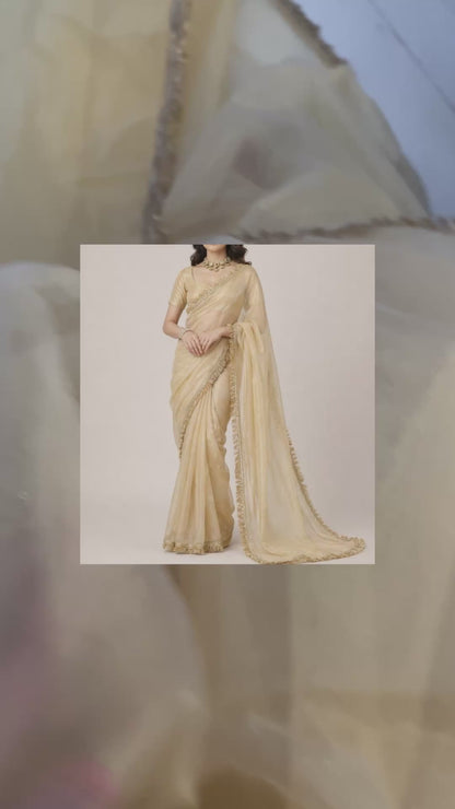 Golden Glow Net Saree